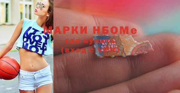 ПСИЛОЦИБИНОВЫЕ ГРИБЫ Няндома