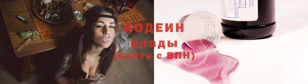 ПСИЛОЦИБИНОВЫЕ ГРИБЫ Няндома