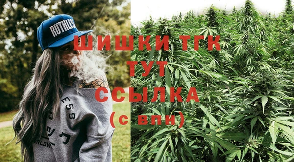ПСИЛОЦИБИНОВЫЕ ГРИБЫ Няндома
