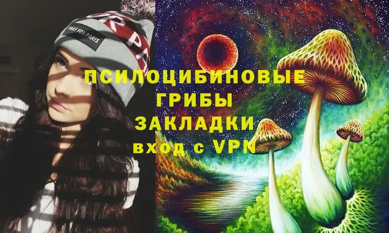 как найти наркотики  Старая Купавна  Галлюциногенные грибы Psilocybine cubensis 