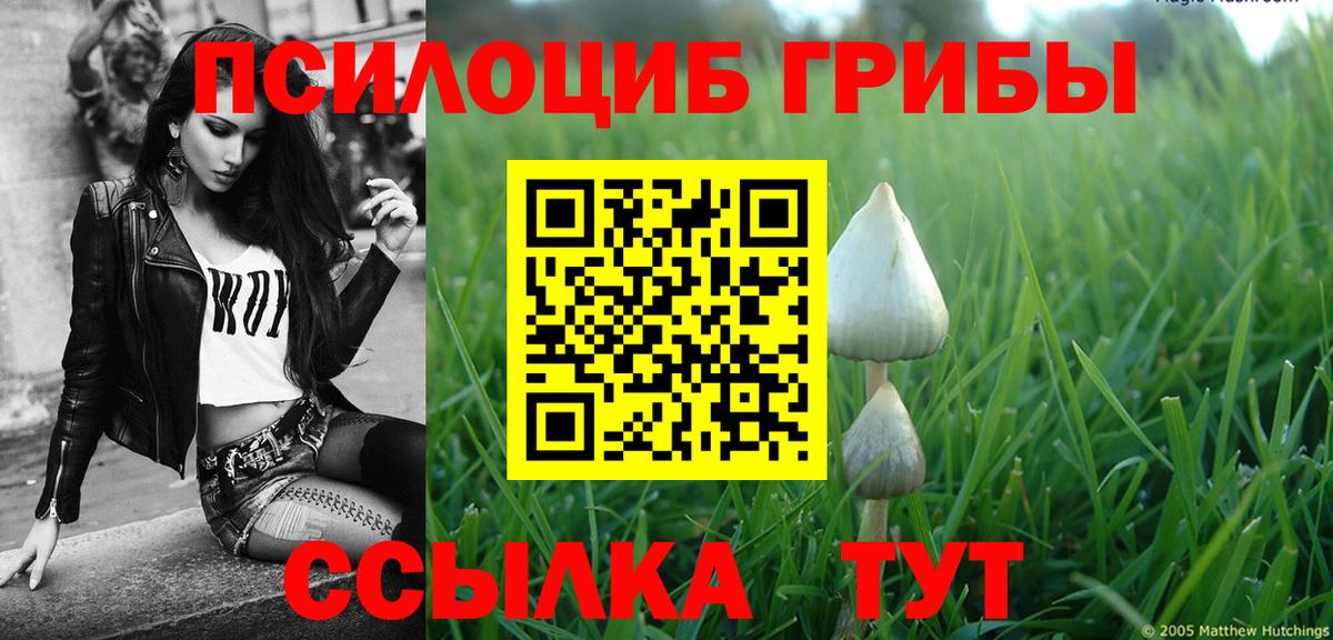 Псилоцибиновые грибы Magic Shrooms  Галлюциногенные грибы мухоморы  Старая Купавна 