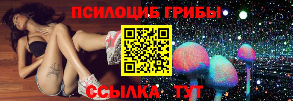 Псилоцибиновые грибы Psilocybe  Вход с VPN  Старая Купавна 